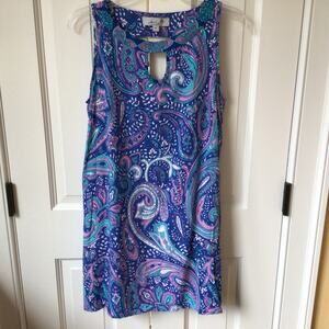 Ava Lynn Pink/Blue Paisley Sleeveless Dress Sz M